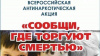На территории Челябинской области проводится Общероссийской акция «Сообщи, где торгуют смертью»