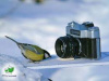 Стартовал конкурс для юных фотографов "Эковзгляд. Зима"