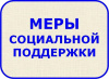 Меры социальной поддержки