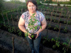 Россельхозцентр Варны знает все о способах высадки томатов