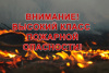 ОПЕРАТИВНАЯ ИНФОРМАЦИЯ № 39