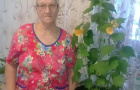 Зеленые друзья на подоконнике