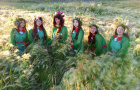 «Купальский вечерок»