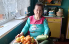 Новости МУ «КЦСОН Варненского муниципального района»