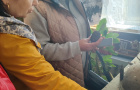 Тайны прошлого: экскурсия в музей