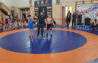 Юные борцы показали высокий уровень мастерства