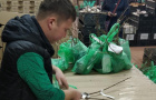 Почта России доставит более 160 000 посылок с саженцами из Челябинской области садоводам по всей стране 